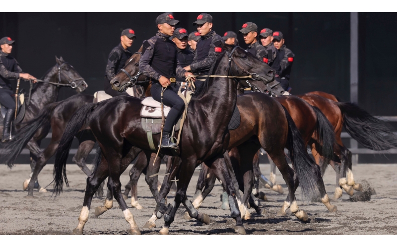 汗血馬隊(duì)列